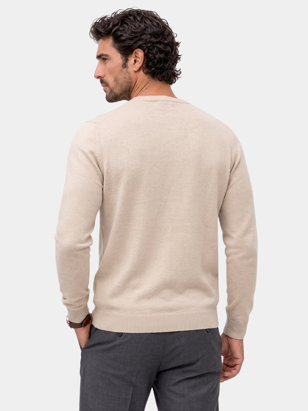 Back view of the beige solid crew neck sweater
